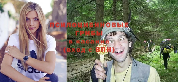 стаф Корсаков