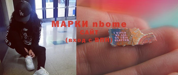 стаф Корсаков