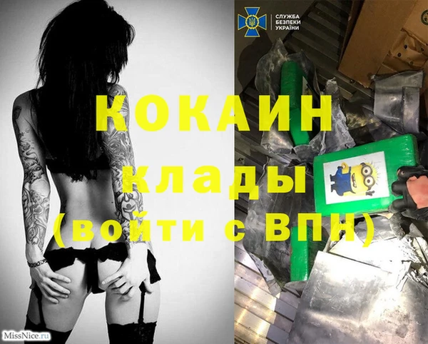 стаф Корсаков