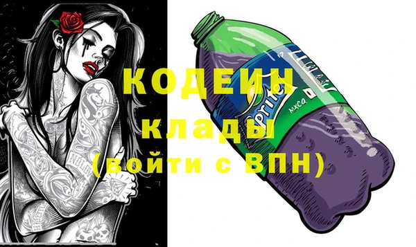 стаф Корсаков