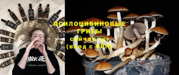 СК Костерёво