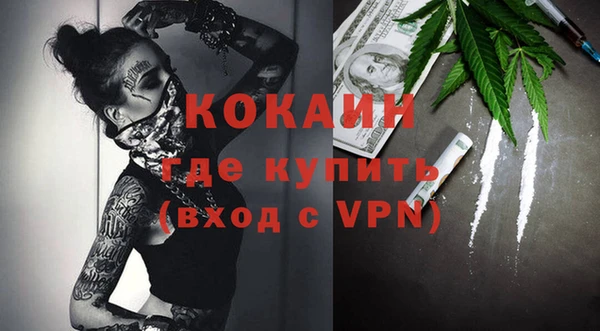 стаф Корсаков