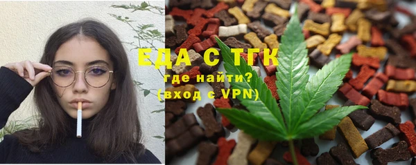 стаф Корсаков