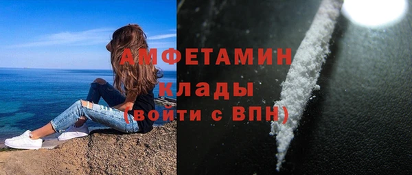стаф Корсаков