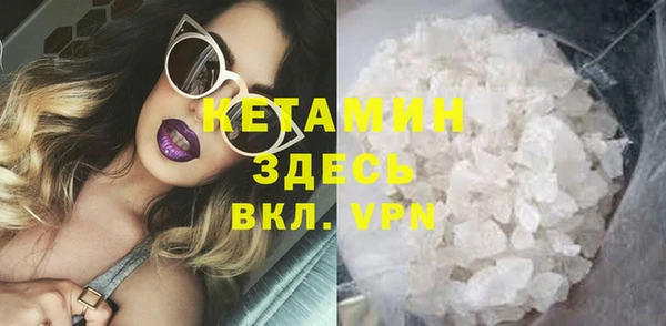 стаф Корсаков