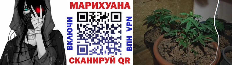 Каннабис MAZAR  маркетплейс какой сайт  Староминская 